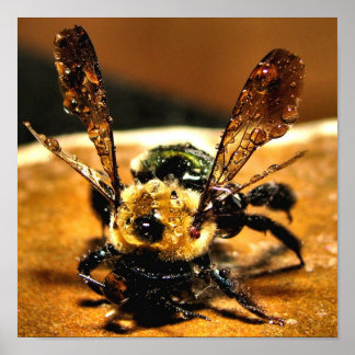 金ゴールド ポスター