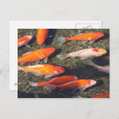 金ゴールド ポストカード (正面/裏面)