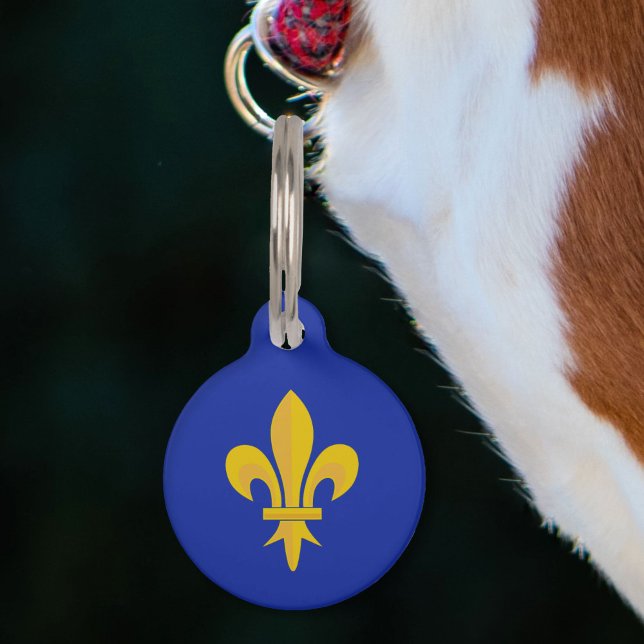 金ゴールド（紋章の）フラ・ダ・リオン王室のブルー ペット　ネームタグ (Gold Fleur de Lis on Royal Blue Pet ID Tag)