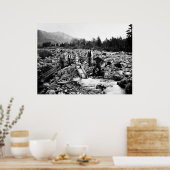 金ゴールドc用SLUICING1890 ポスター (キッチン)