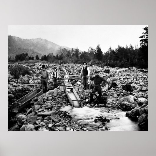 金ゴールドc用SLUICING1890 ポスター (正面)