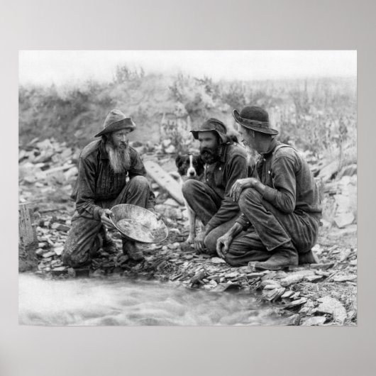 金ゴールドc. 1889年のための3人および犬のPANNING ポスター (正面)