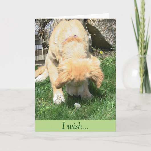 金タンポポの願いの悔やみや弔慰 カード (正面)