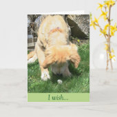 金タンポポの願いの悔やみや弔慰 カード (黄色い花)