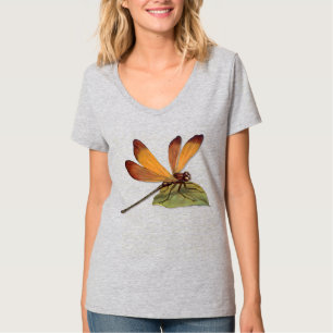 金トンボ Tシャツ