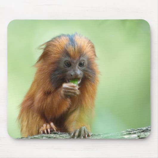 金ヘッド若者 マウスパッド (正面)