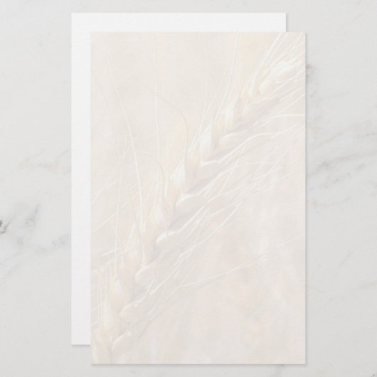 金ムギのカスタムの文房具 便箋 (正面/裏面)