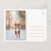 金メリーフェイク箔3枚フォト シーズンポストカード (裏面)