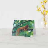 金ライオンのTAMARIN猿の挨拶状 カード (黄色い花)