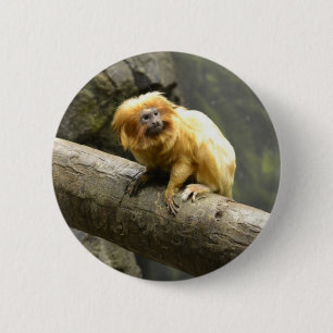 金ライオンのTamarin 缶バッジ
