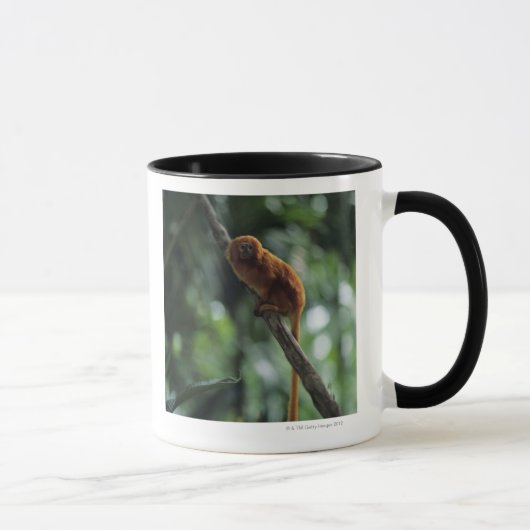 金ライオンのtamarin (Leontopithecusのrosalia) マグカップ (右)