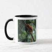 金ライオンのtamarin (Leontopithecusのrosalia) マグカップ (左)
