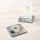 金ラブラドル・レトリーバー犬の写真 コースター (右側)