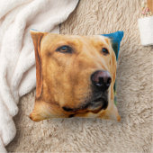 金ラブラドル・レトリーバー犬 クッション (ブランケット)