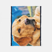 金ラブラドル・レトリーバー犬 フリースブランケット (正面)