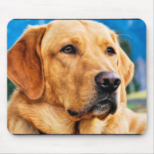 金ラブラドル・レトリーバー犬 マウスパッド