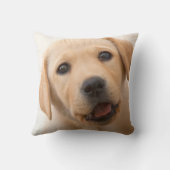 金ラブラドールの子犬 クッション (裏面)