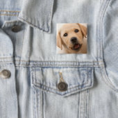 金ラブラドールの子犬 缶バッジ (インサイチュ)