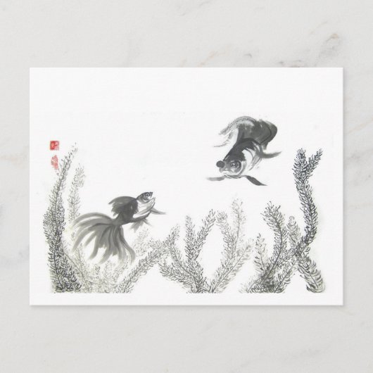 金中国の魚はがき ポストカード (正面)