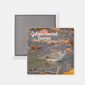 金冠の雀 マグネット (正面/裏面)