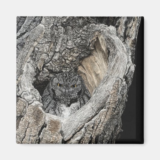 金切りフクロウ磁石 – "サンペドロのハート" マグネット (正面)