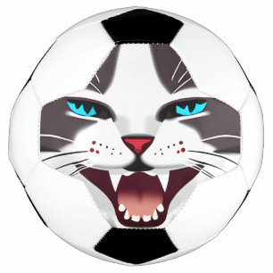 金切り声を上げる青い目の猫 サッカーボール