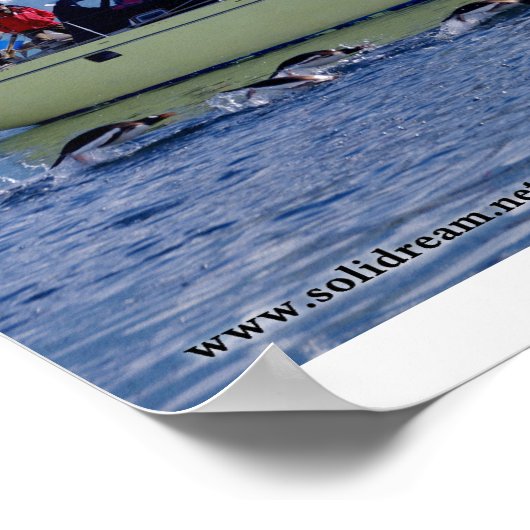 金南極 ポスター (角)