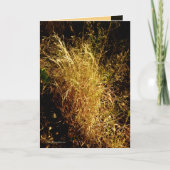 金収穫 カード (正面)