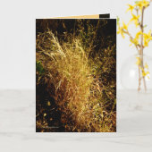 金収穫 カード (黄色い花)