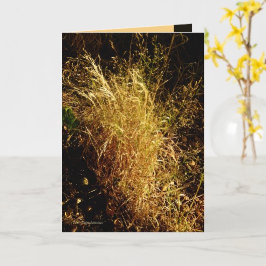 金収穫 カード (黄色い花)