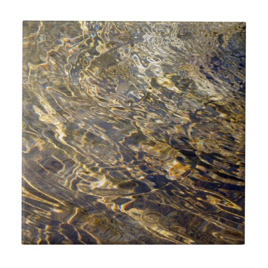 金噴水水2 タイル (正面)