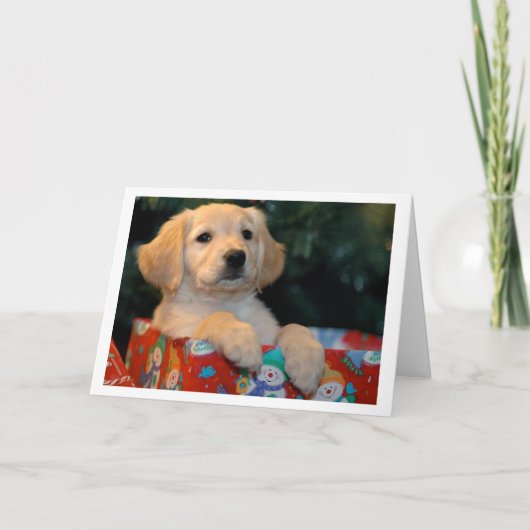 金子犬のギフトのクリスマスカード シーズンカード (正面)