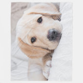 金子犬のラブラドール毛布 フリースブランケット (正面)