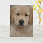 金子犬の挨拶状 カード (黄色い花)