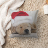 金子犬の枕 クッション (ブランケット)