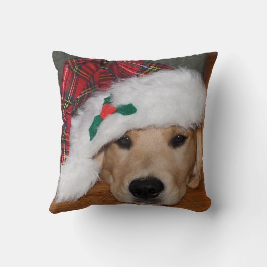 金子犬の枕 クッション (裏面)