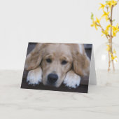 金子犬の足の挨拶状 カード (黄色い花)