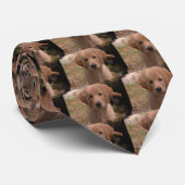 金子犬 ネクタイ (ロール)