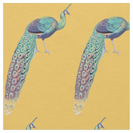 金孔雀 ファブリック (クローズアップ)