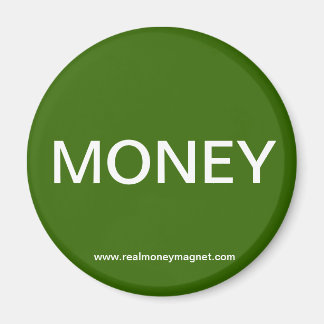 金実在磁石 マグネット