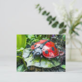 金属のハムシが葉の上にいる ポストカード (スタンド正面)