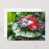 金属のハムシが葉の上にいる ポストカード (正面/裏面)