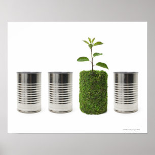 金属の缶および新しい実生植物の成長の提示 ポスター