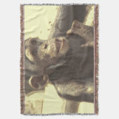 金属キンプ スローブランケット (正面縦)