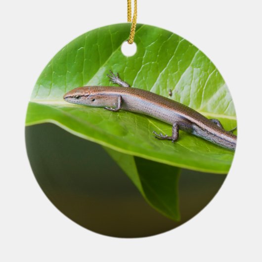金属クールなSkink Niveoscincus Metallicus セラミックオーナメント (正面)