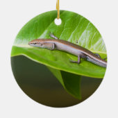 金属クールなSkink Niveoscincus Metallicus セラミックオーナメント (裏面)