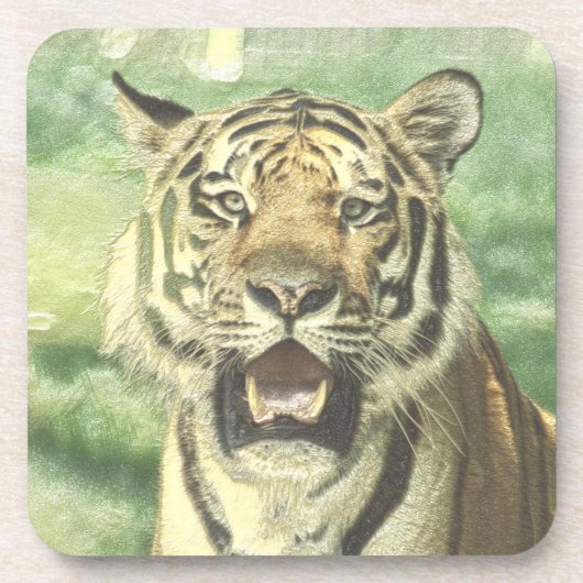 金属タイガー コースター (正面)