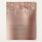 金属バラ金ゴールドグリッタードリップボスレディーアニュアル プランナー手帳 (裏面)