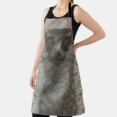 金属メルカット エプロン (インサイチュ)