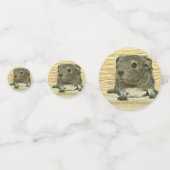 金属モルモット コンフェッティ (裏面)